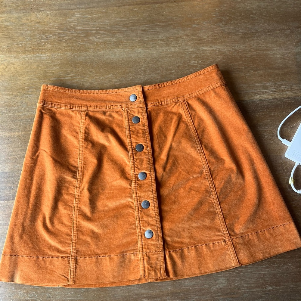 Madewell skirt